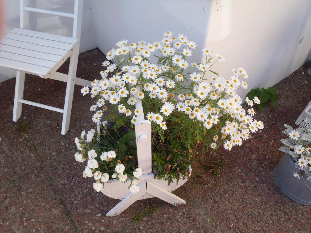 Hotel Oddevej 20 Skagen Exterior foto